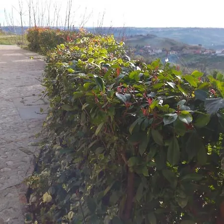 Perenich Chieti
