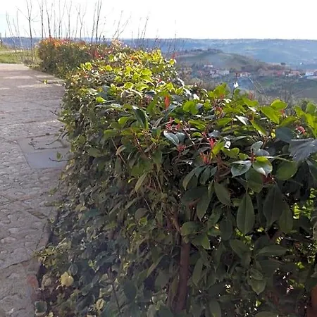 Perenich Bed & Breakfast